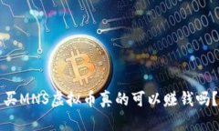 买MNS虚拟币真的可以赚钱吗？