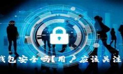 虚拟币OKPay钱包安全吗？用户应该关注哪些安全隐