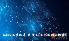 WTCOIN虚拟币：是什么？如何选择与投资？