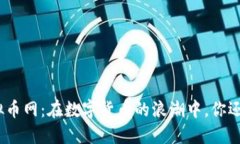 : 老牌虚拟币网：在数字货币的浪潮中，你还在观