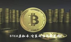BTCX虚拟币：它真的值得投资吗？