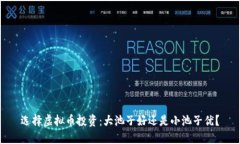 选择虚拟币投资：大池子好还是小池子优？