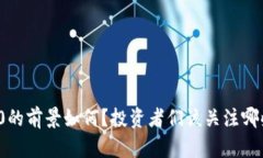 虚拟币2080的前景如何？投资者们该关注哪些关键