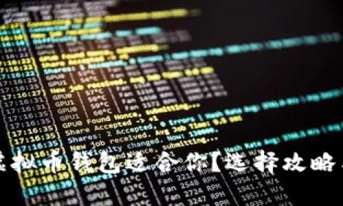 哪个虚拟币钱包适合你？选择攻略与推荐