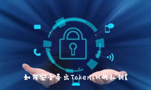 如何安全导出TokenIM的私钥？