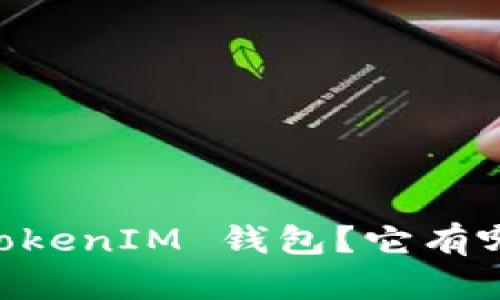 什么是 TokenTokenIM 钱包？它有哪些强大的功能？