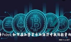 虚拟币Point：如何在加密货币的海洋中找到投资的