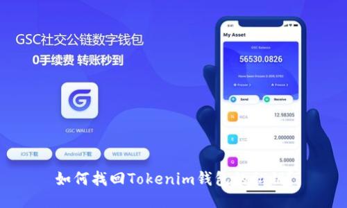 如何找回Tokenim钱包的私钥？