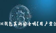 TokenTokenIM钱包真的安全吗？用户需注意哪些风险