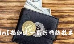 什么是Tokenim？揭秘这一新兴网络技术的潜力与应
