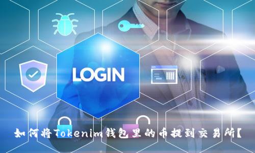 如何将Tokenim钱包里的币提到交易所？