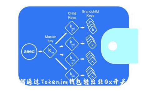 如何通过Tokenim钱包转出非0x开头的币？