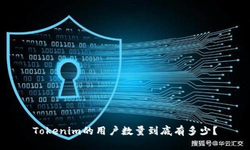 Tokenim的用户数量到底有多少？