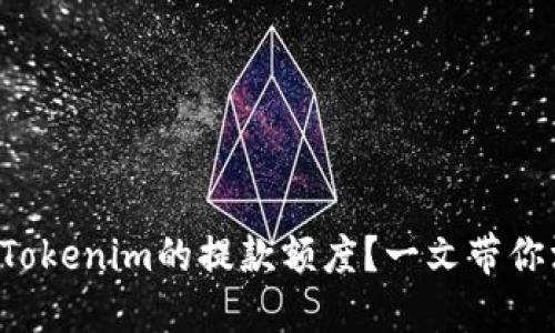 如何提高Tokenim的提款额度？一文带你深入了解!