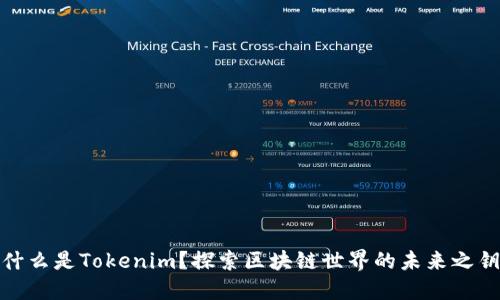 什么是Tokenim？探索区块链世界的未来之钥