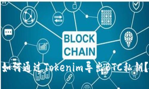 如何通过Tokenim导出BTC私钥？