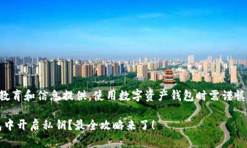 注意：以下内容仅为教育和信息提供，使用数字资产钱包时需谨慎操作，以防丢失资产。

如何在Tokenim钱包中开启私钥？最全攻略来了！