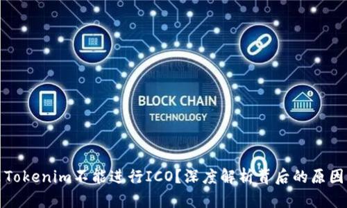 为什么Tokenim不能进行ICO？深度解析背后的原因与影响