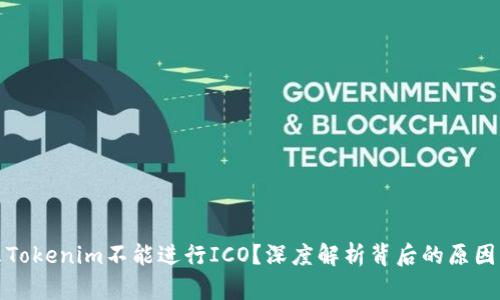 为什么Tokenim不能进行ICO？深度解析背后的原因与影响