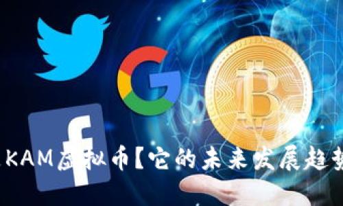什么是KAM虚拟币？它的未来发展趋势如何？