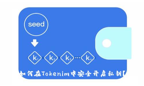 如何在Tokenim中安全开启私钥？