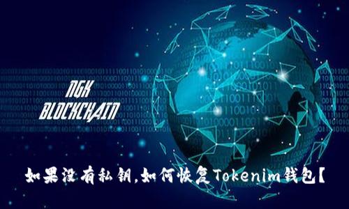 如果没有私钥，如何恢复Tokenim钱包？