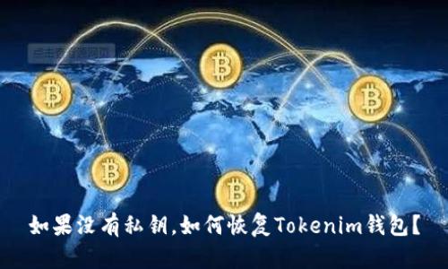 如果没有私钥，如何恢复Tokenim钱包？