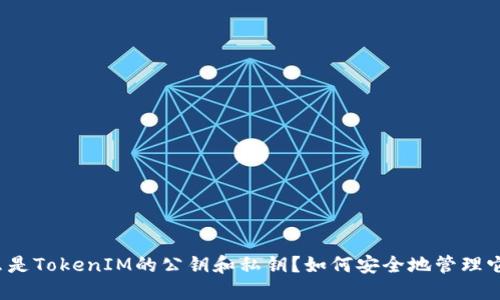 什么是TokenIM的公钥和私钥？如何安全地管理它们？