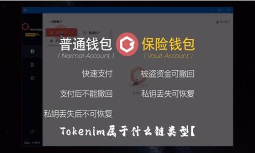 Tokenim属于什么链类型？