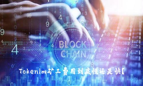 Tokenim矿工费用到底慢还是快？