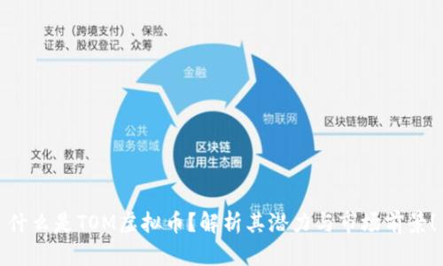 什么是TOM虚拟币？解析其潜力与市场前景！