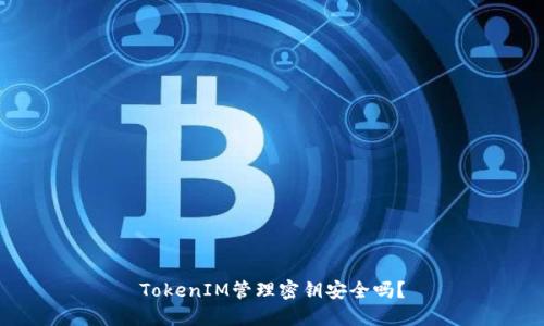 TokenIM管理密钥安全吗？