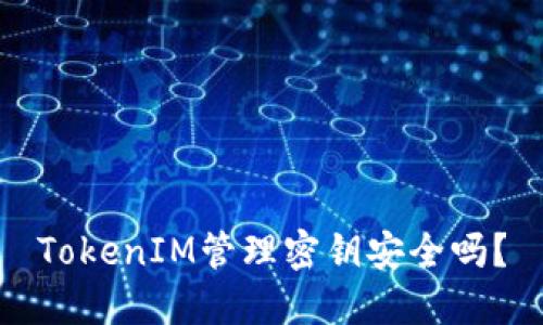 TokenIM管理密钥安全吗？