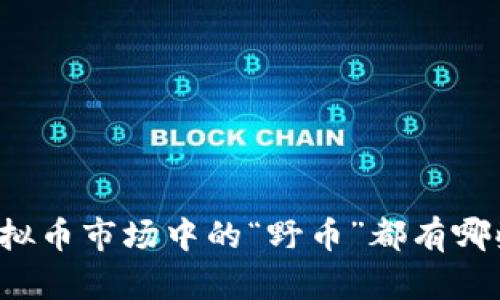 虚拟币市场中的“野币”都有哪些？