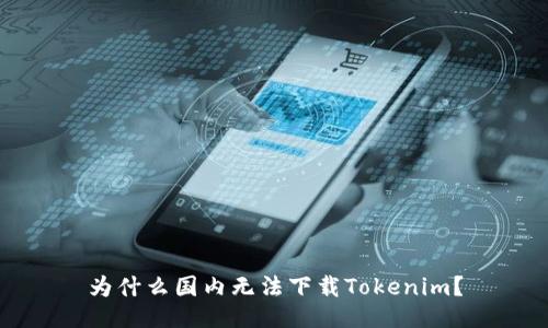 为什么国内无法下载Tokenim？