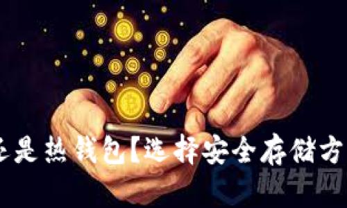 Tokenim是冷钱包还是热钱包？选择安全存储方式的关键在于什么？