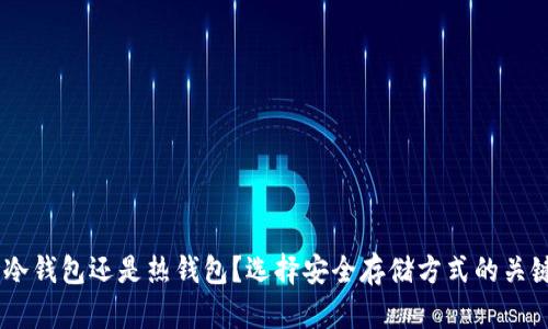 Tokenim是冷钱包还是热钱包？选择安全存储方式的关键在于什么？