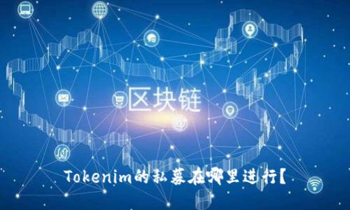 Tokenim的私募在哪里进行？