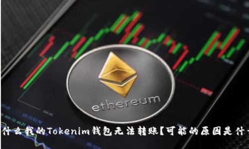 为什么我的Tokenim钱包无法转账？可能的原因是什么？