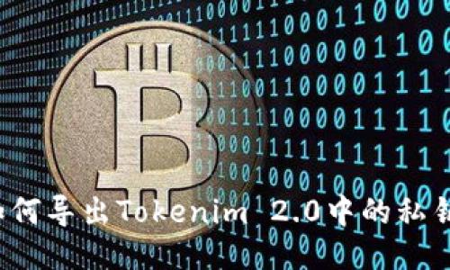 如何导出Tokenim 2.0中的私钥？