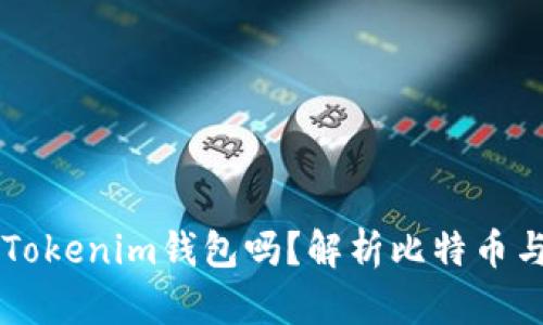 比特币钱包可以转账到Tokenim钱包吗？解析比特币与Tokenim的跨钱包转账