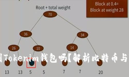 比特币钱包可以转账到Tokenim钱包吗？解析比特币与Tokenim的跨钱包转账