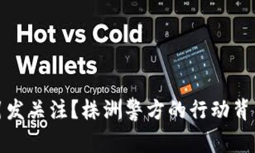  虚拟币为何引发关注？株洲警方的行动背后有什么深意？