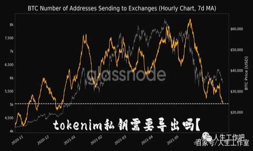 tokenim私钥需要导出吗？