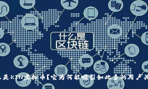 什么是KIN虚拟币？它为何能吸引如此多的用户关注？