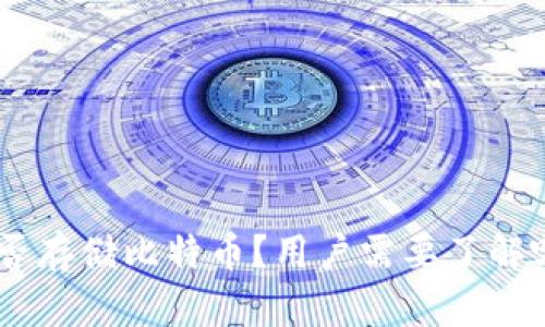 Tokenim能否存储比特币？用户需要了解哪些关键点？