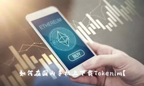 如何在国内手机上下载Tokenim？