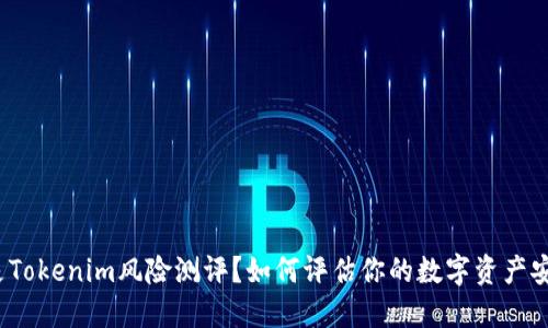 什么是Tokenim风险测评？如何评估你的数字资产安全性？