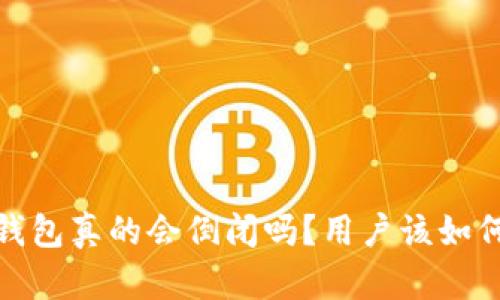 Tokentokenim钱包真的会倒闭吗？用户该如何应对潜在风险？