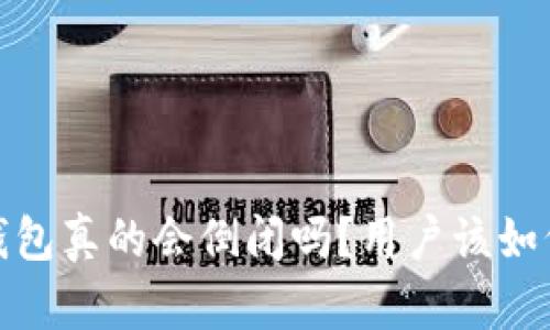 Tokentokenim钱包真的会倒闭吗？用户该如何应对潜在风险？